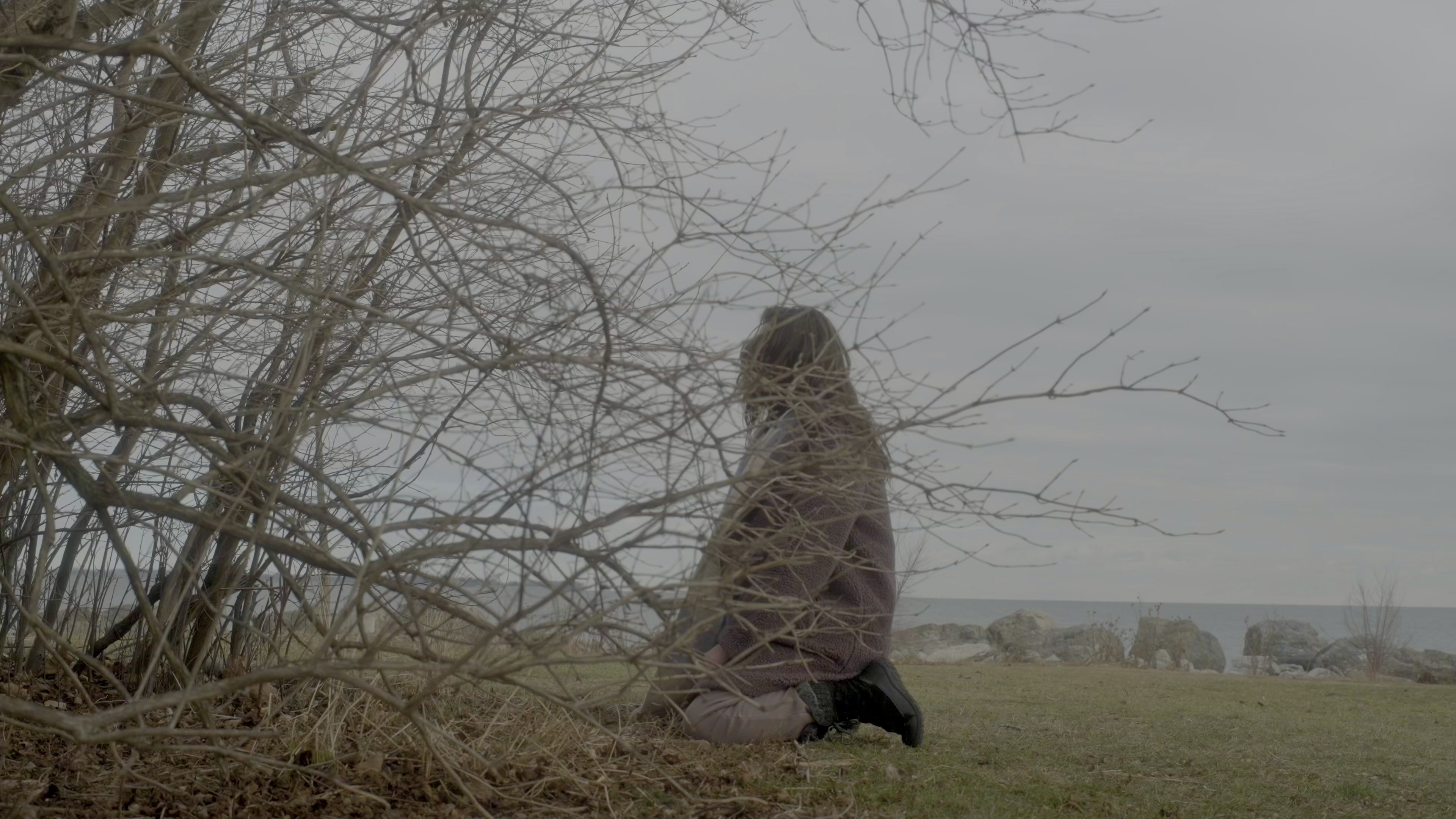 Still from Rooted Remedy